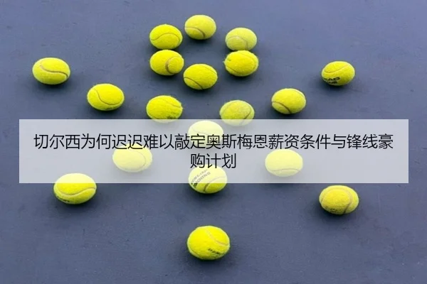 qie-er-xi-wei-he-chi-chi-nan-yi-qiao-ding-ao-si-mei-en-xin-zi-tiao-jian-yu-feng-xian-hao-gou-ji-hua-2-314.jpg